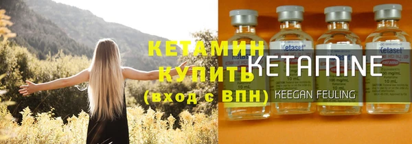 шишки Аркадак