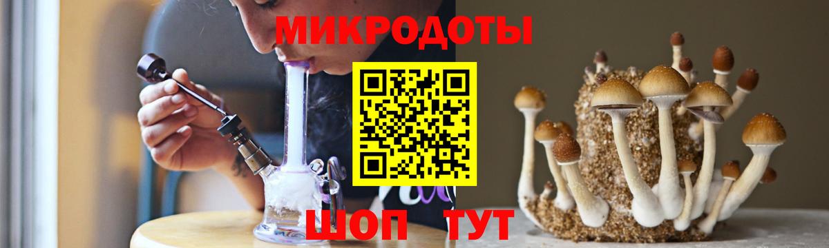 Псилоцибиновые грибы Psilocybe Печора